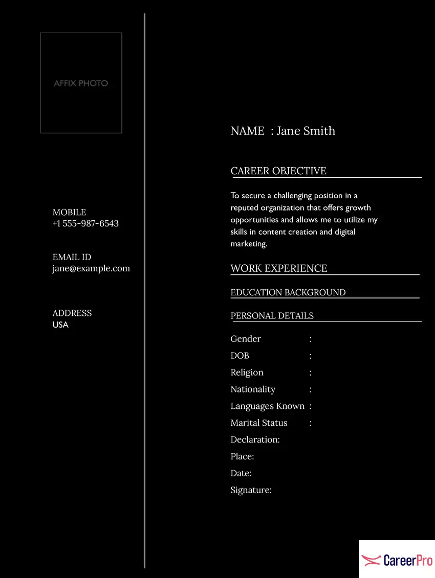 professional-bio-data-tempelate