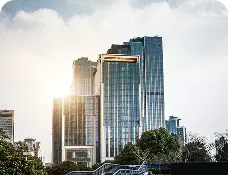 Real Estate Industry