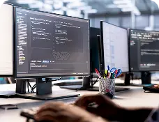 IT industry